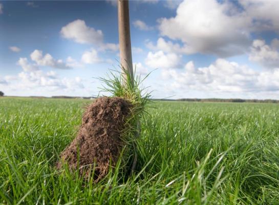 Verschraling van de bodem zorgt voor het vrijkomen van CO2