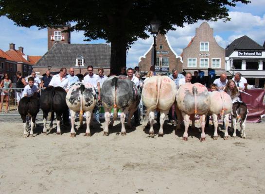 kampioenen Sluis 2022