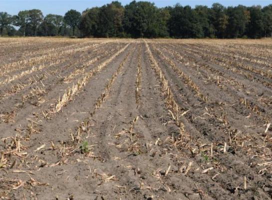 In Vlaanderen kost een hectare landbouwgrond 63.105 euro