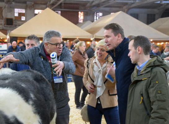 Sfeer keuring Sint-Truiden