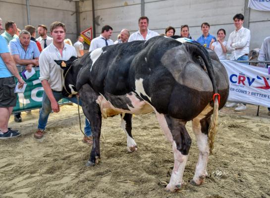 Roxette van de Pannemeers