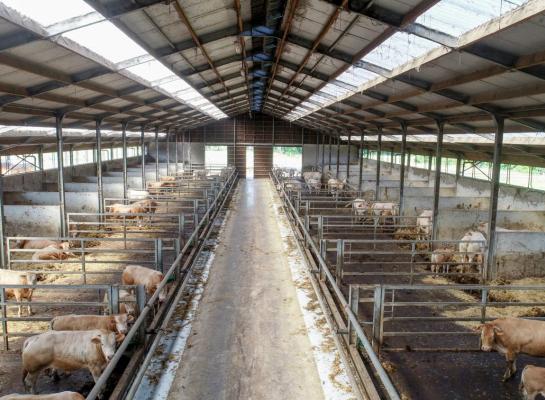 Farm Beef Boutique Zonhoven