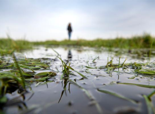 De aanhoudende wisselvallige dagen leiden in 2024 al tot zo'n 170 mm neerslag