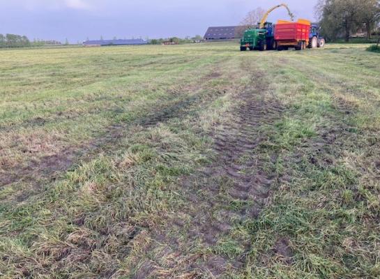 Er is in diverse regio's gekuild, maar de draagkracht was vaak minimaal
