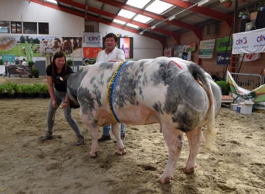 Noa Vd Merehoekstraat