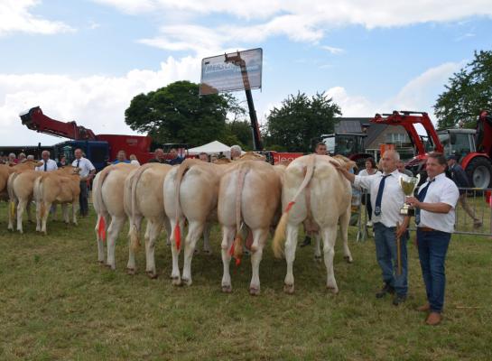 Blondes Bogaarden 2024 1