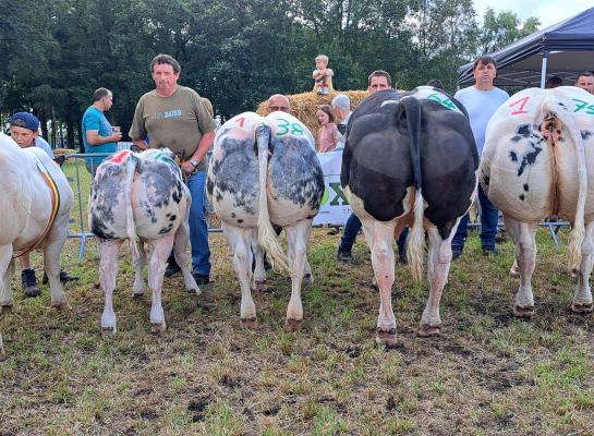 Kampioenen Geel 2024
