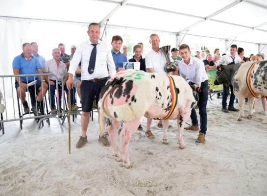 Tropicana van de Stokerij