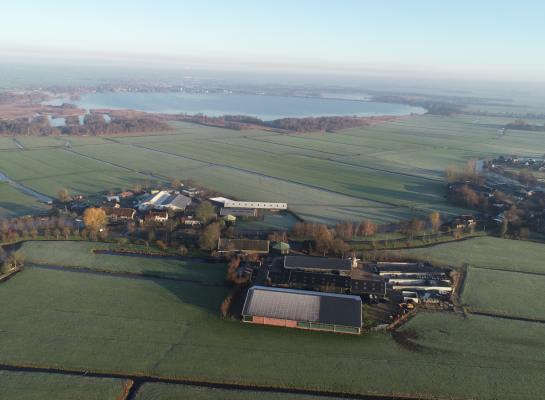 Veehouders die gebruik maken van de verplaatsingsregeling mogen ook verplaatsen naar een ander EU-land