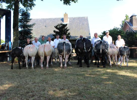 De kampioenen in Geffen op een rij