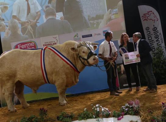 keuring charolais
