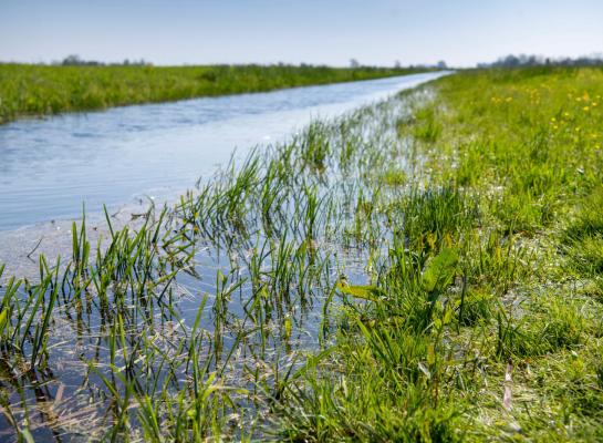 Onder andere het natte voorjaar en blauwtong zorgen voor een lagere tevredenheid bij landbouwers