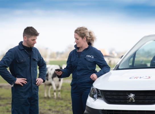 De herstructurering heeft volgens CRV geen gevolgen voor de kwaliteit van de dienstverlening aan veehouders