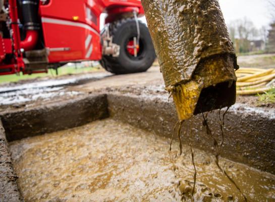 Door nog strengere mestnormen en een lager fosfaatplafond in 2025 is een koude sanering van de melkveesector mogelijk