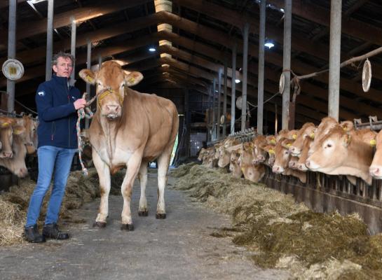 Marcel Gerritsen: ‘Een blonde moet rastype bezitten, fijn zijn in het bot en vel en ruimte hebben voor bespiering'