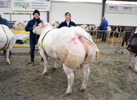 Tiddly Winks van het Smetledehof