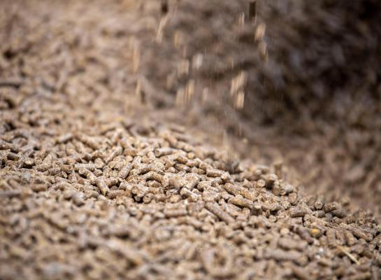 Agrifirm stroomlijnde vorig jaar haar organisatie en verbeterde haar productie-efficiëntie. Dit moet kosten structureel verlagen en dit jaar zorgen voor een beter resultaat