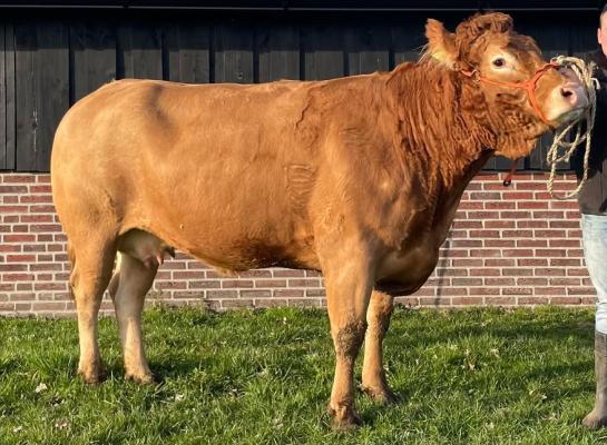 Nadia van de Hiedbrink