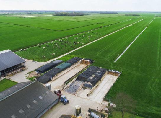 Vergeleken met drie jaar geleden is de prijsstijging van grasland bijna 20.000 euro per hectare