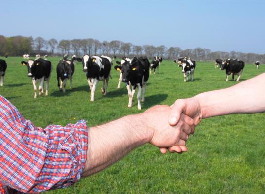 Er wordt hard gewerkt om het loket voor deze zomer klaar te maken