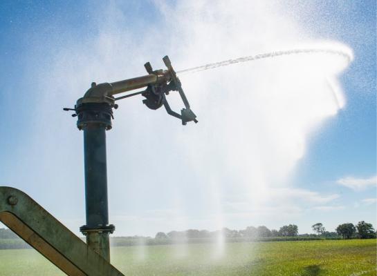 Bij ideale grasgroei verdampt zo’n 4 tot 5 millimeter water per dag