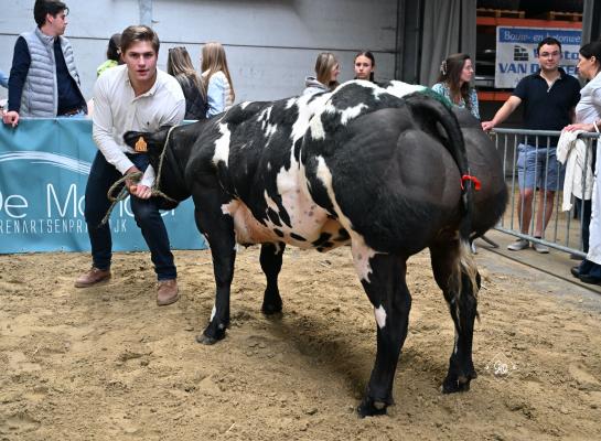 Venus van de Pannemeers