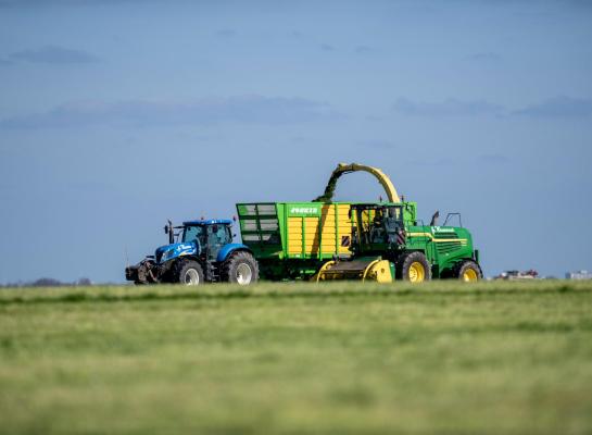 De voorjaarskuilen zijn droger en bevatten meer suiker dan vorig jaar