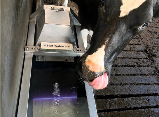 Een UVC-lamp doodt bacteriën door hun DNA te beschadigen 