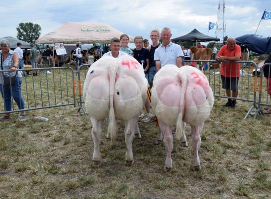 Stokerij kampioenen Wulpen
