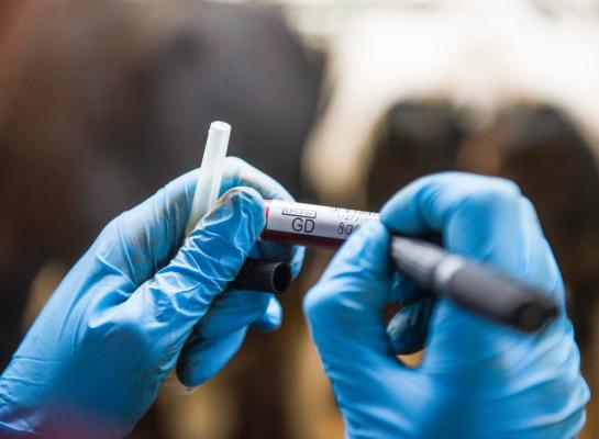 Het wetgevingsproces rond de bestrijding van ibr vraagt meer tijd dan verwacht