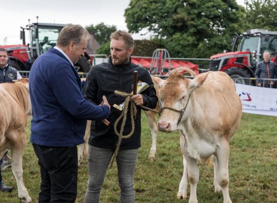 Blondes Bogaarden 2025 9