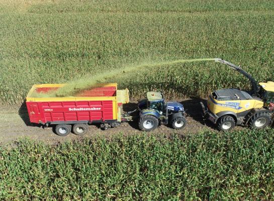 Op de droger zandgronden is door noodrijpheid de mais zo ver om gehakseld te worden