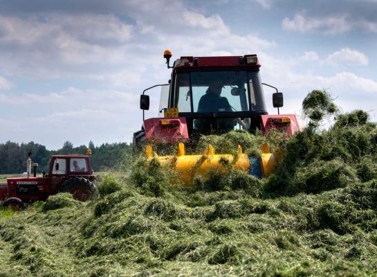 Net als het suikergehalte liggen ook het drogestofgehalte en de vem van de zomerkuilen boven de normale waarden