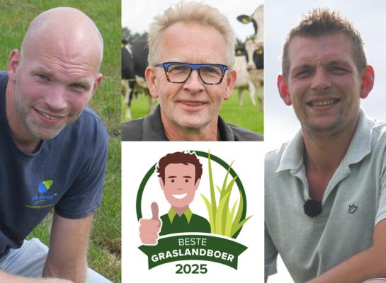 Job van de Water, Johan Mulder en Jur Huetink zijn de drie genomineerden voor de verkiezing Beste Graslandboer 2025