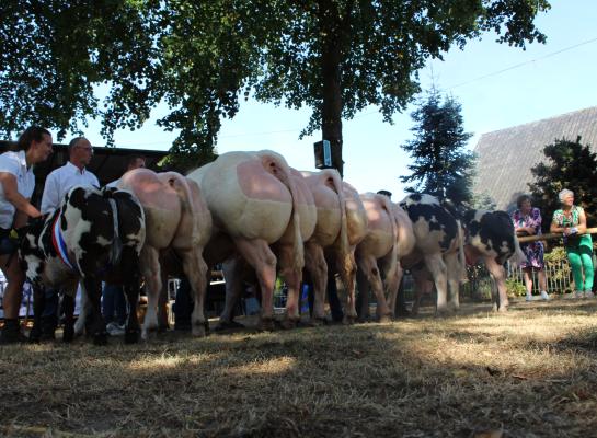 De kampioenen van Geffen 2025