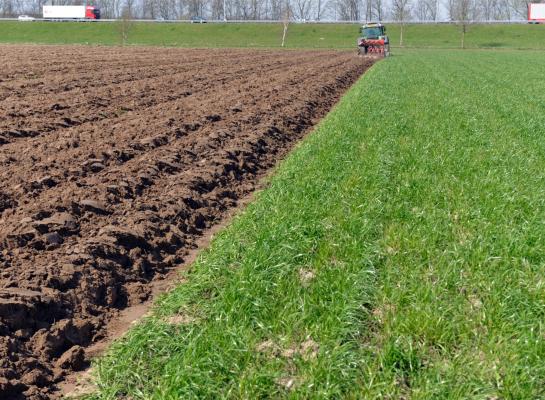 In deze tien jaar werd volgens de berekeningen van het FD  zo’n 17 procent (113.000 hectare) van het  blijvend grasland gescheurd
