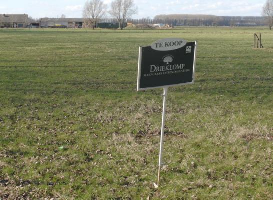 Grote percelen grasland die te koop staan zijn schaars