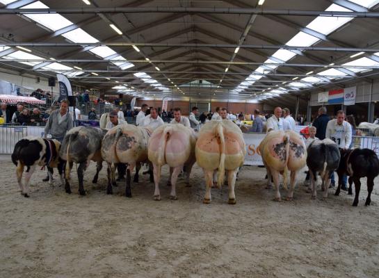 BWB NVM lot kampioenen