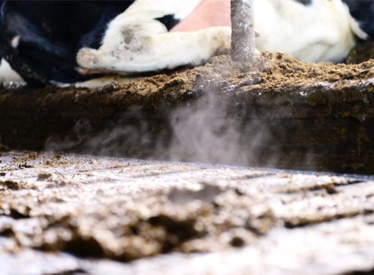 De biomassa kan ook gebruikt worden voor de productie van biobased materialen, zoals biologisch afbreekbare kunststoffen 