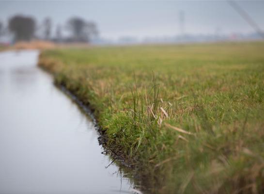 De belasting van het oppervlaktewater door stikstof- en fosforverbindingen was in het natte jaar 2023 ruim 35 procent hoger dan in het drogere jaar 2022.
