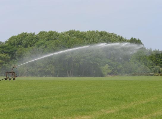 Zonder beregening en zonder extra maatregelen om water vast te houden, zal klimaatverandering in 2050 op De Marke leiden tot een vermindering van de grasopbrengst met 9 procent