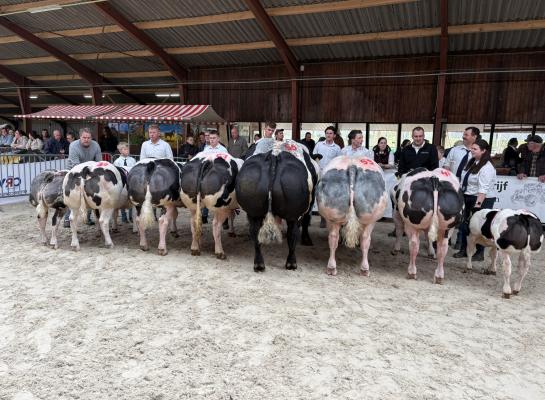 kampioenen hulshorst bwb