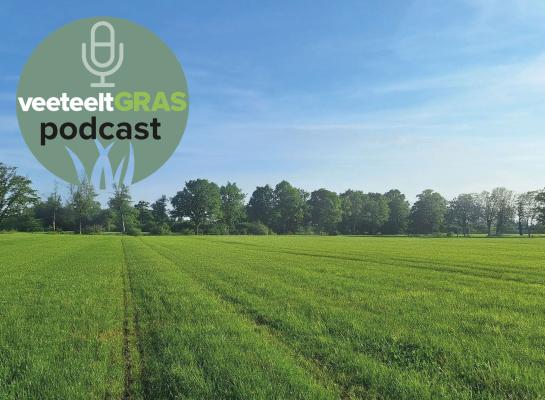 Op de rijsporen bij Chris Bomers groeit duidelijk minder gras en klaver