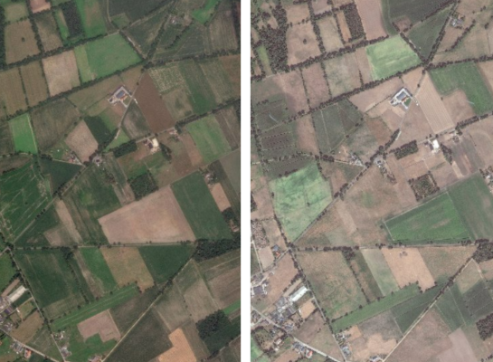 Op satellietbeelden is de verkleuring van het gras goed te zien. Links: 23 juni, rechts 13 augustus, bron: Satellietdataportaal