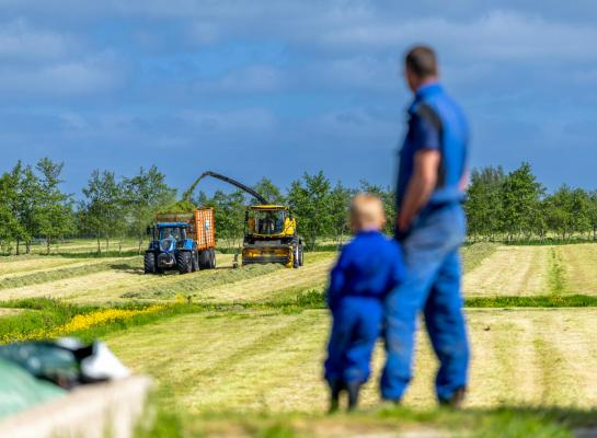 De zomerkuilen zijn dit jaar iets vochtiger ingekuild en bevatten 44,8 procent drofge stof