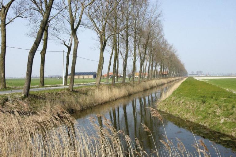 In de provincie West-Vlaanderen circuleert leptospirose het meest