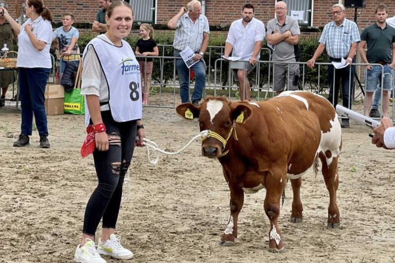 Bij de jonge stieren viel maatschap Te Riele twee keer in de prijzen met de Andyzonen Goldino van Vredenburgh en Gilles van Vredenburgh (foto: Stal Vredenburg)