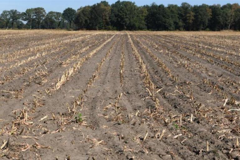 In Vlaanderen kost een hectare landbouwgrond 63.105 euro