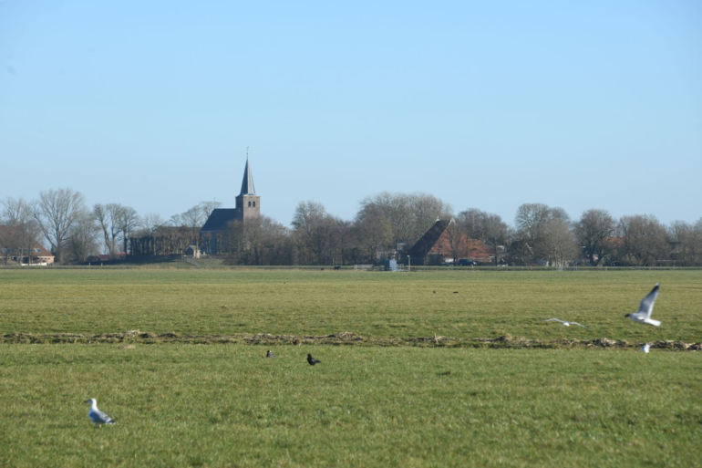 In Friesland is landbouwgrond met gemiddeld ruim 56.000 euro het goedkoopst