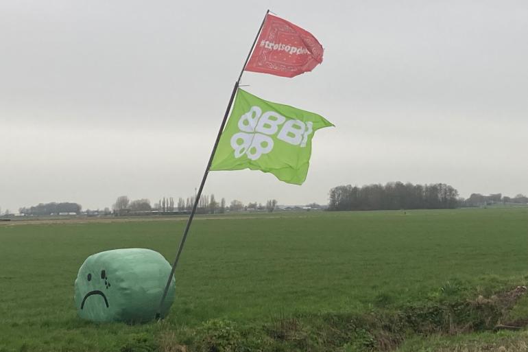 De partij BBB heeft een onverwacht grote zege behaald bij Provinciale Statenverkiezing